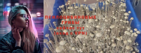 ALPHA PVP Алзамай